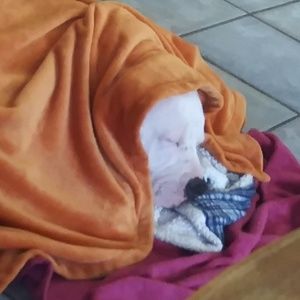 Meet your Posher, Kat